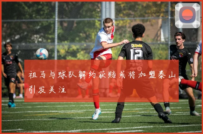 祖马与球队解约获赔或将加盟泰山引发关注