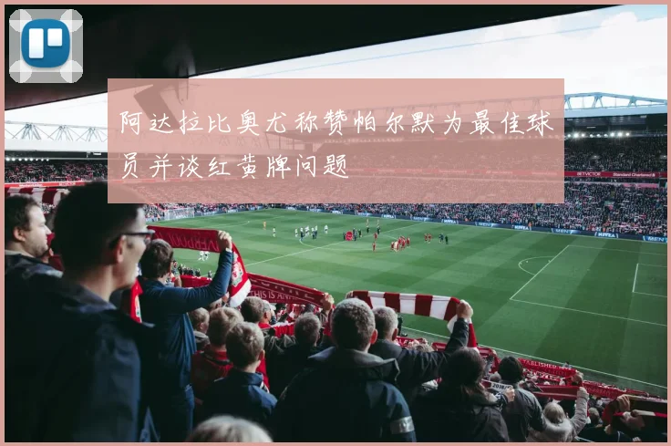 阿达拉比奥尤称赞帕尔默为最佳球员并谈红黄牌问题